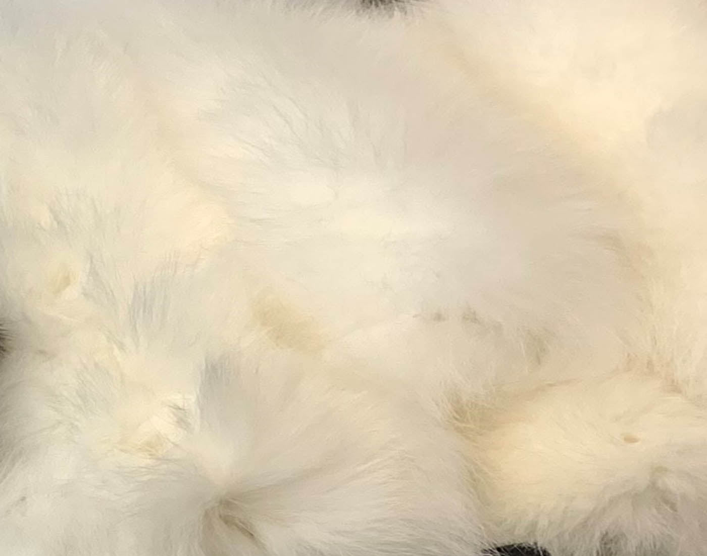 Fur Cuff Accessory
